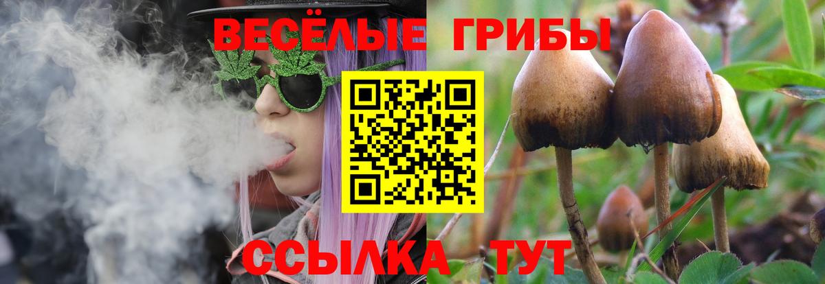 Галлюциногенные грибы Cubensis  Вход с VPN  Пыть-Ях 